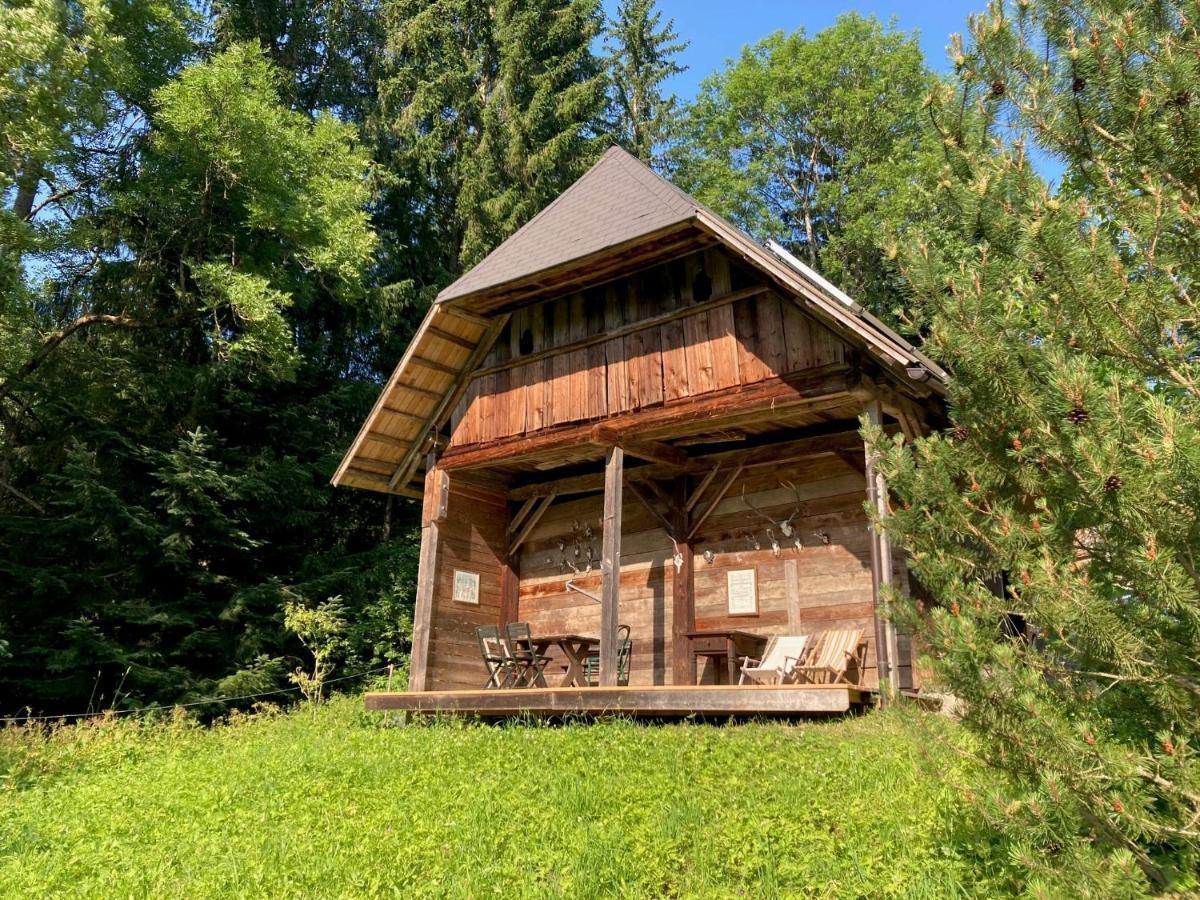 Charmante Gaestewohnung In Altem Bauernhaus In Alpiner Alleinlage Stanz Im Murztal Екстериор снимка