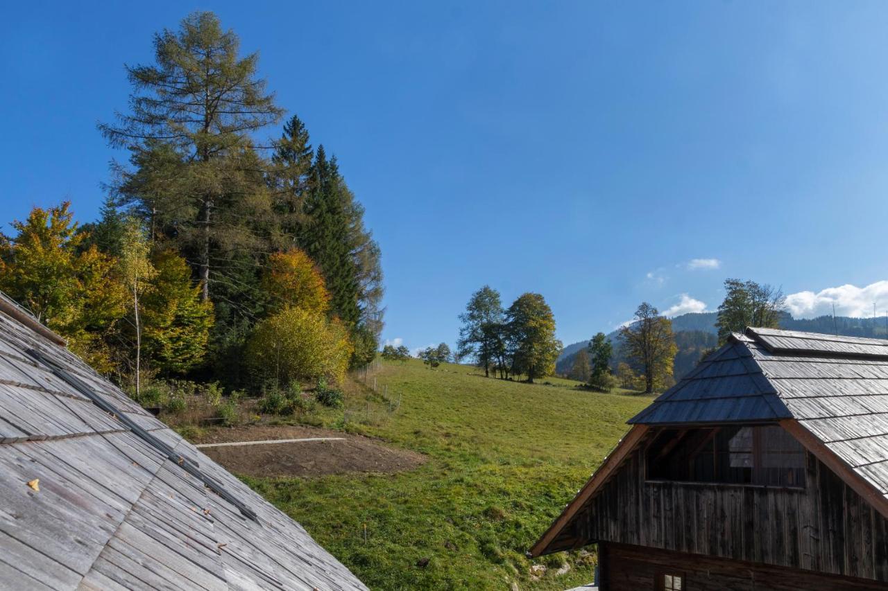 Charmante Gaestewohnung In Altem Bauernhaus In Alpiner Alleinlage Stanz Im Murztal Екстериор снимка